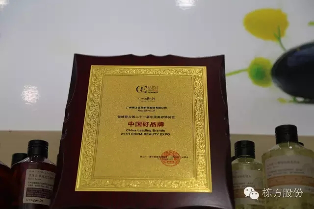 科技引領(lǐng)美麗▏棟方股份榮獲“中國好品牌獎”！